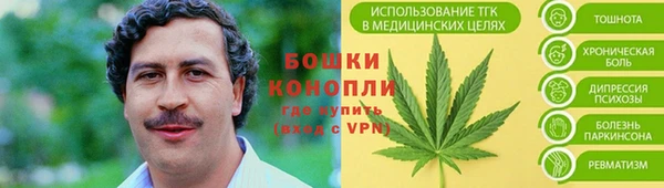 прущая мука Богданович